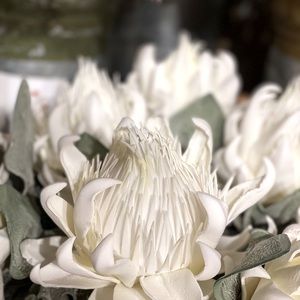 Meet your Posher, Breanne